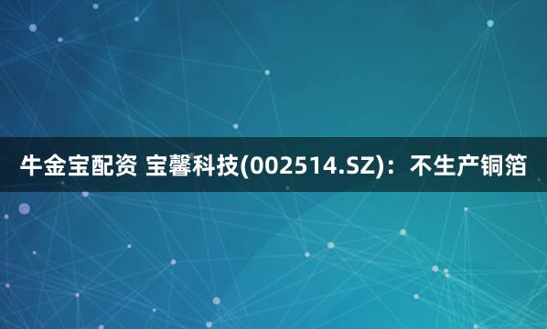 牛金宝配资 宝馨科技(002514.SZ)：不生产铜箔