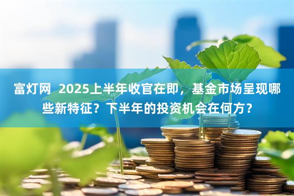 富灯网  2025上半年收官在即，基金市场呈现哪些新特征？下半年的投资机会在何方？